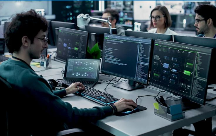 Software Development (DMS & EMS) Services image